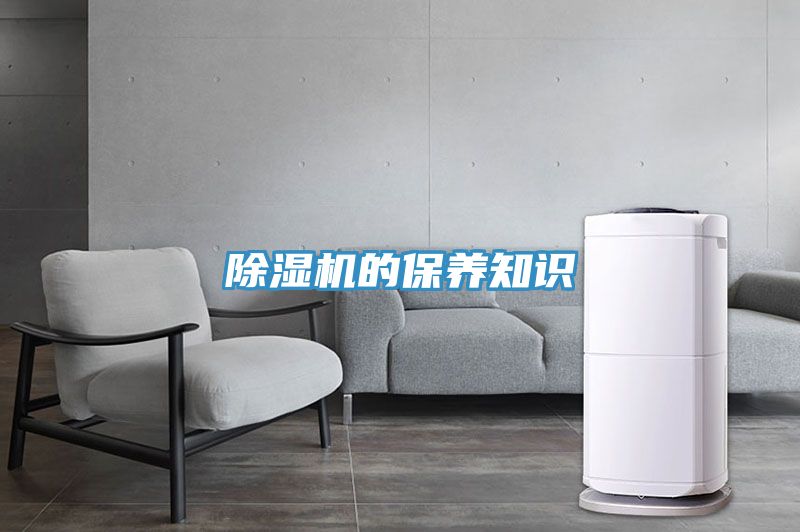91免费网站在线观看的保养知识