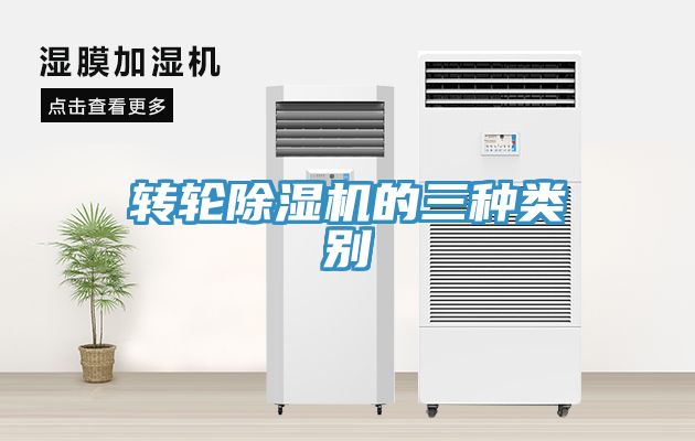 转轮91免费网站在线观看的三种类别