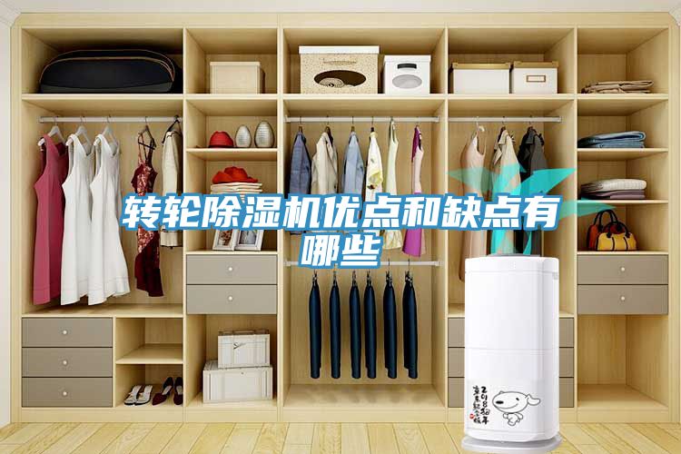 转轮91免费网站在线观看优点和缺点有哪些