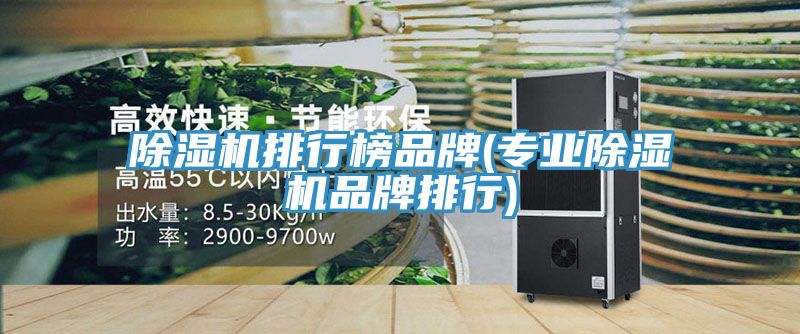91免费网站在线观看排行榜品牌(专业91免费网站在线观看品牌排行)