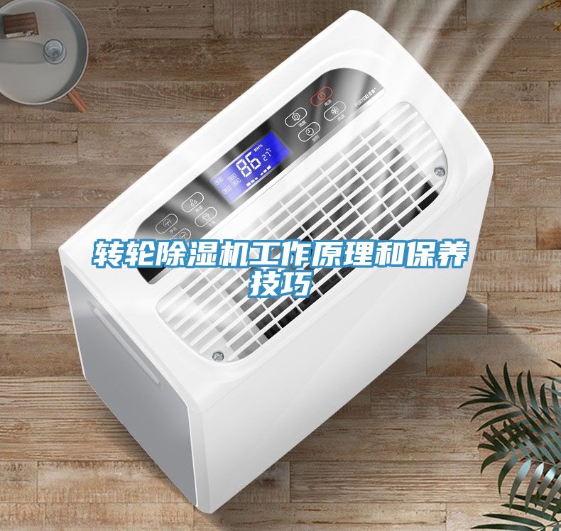 转轮91免费网站在线观看工作原理和保养技巧