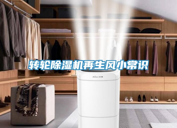 转轮91免费网站在线观看再生风小常识