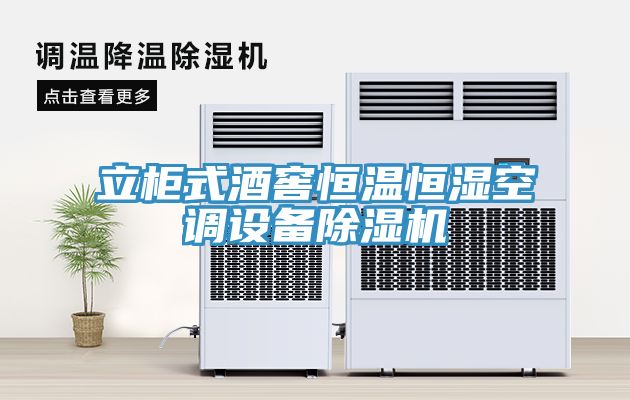 立柜式酒窖恒温恒湿空调设备91免费网站在线观看