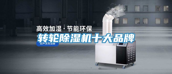 转轮91免费网站在线观看十大品牌