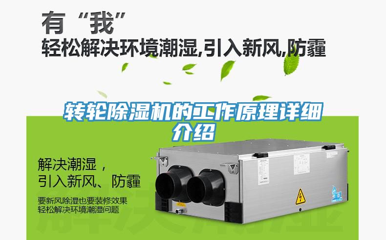 转轮91免费网站在线观看的工作原理详细介绍