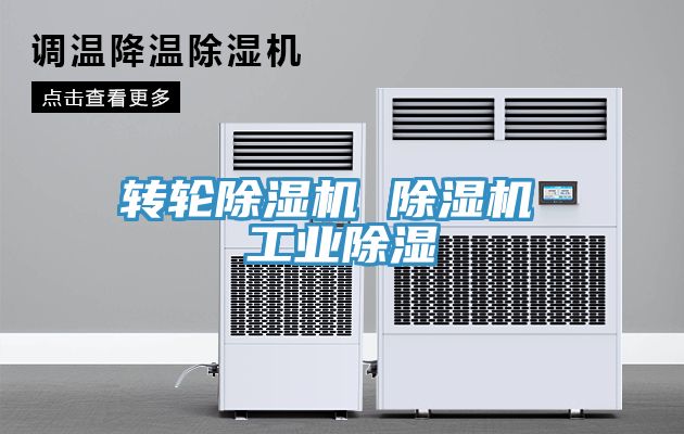 转轮91免费网站在线观看 91免费网站在线观看 工业除湿