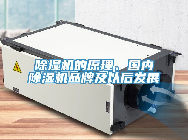 91免费网站在线观看的原理、国内91免费网站在线观看品牌及以后发展