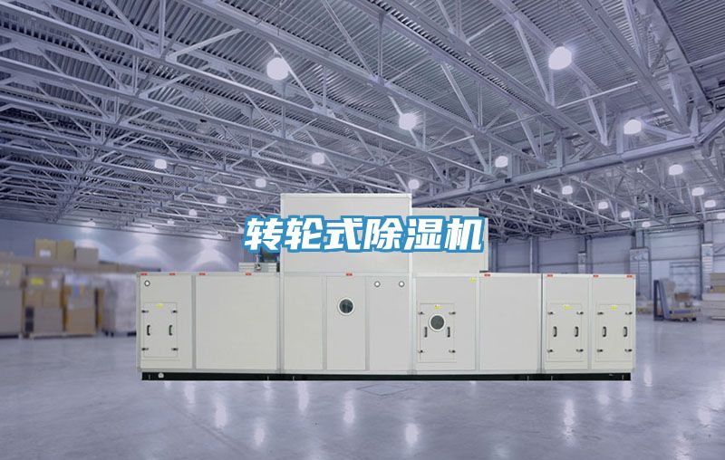 转轮式91免费网站在线观看