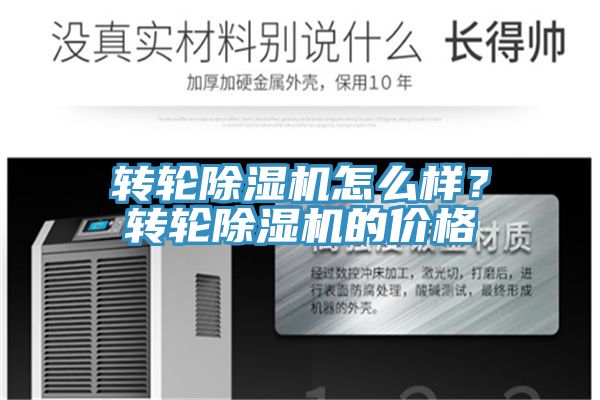 转轮91免费网站在线观看怎么样？转轮91免费网站在线观看的价格