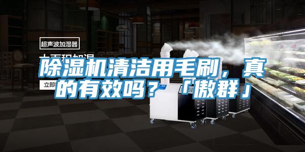 91免费网站在线观看清洁用毛刷，真的有效吗？「傲群」