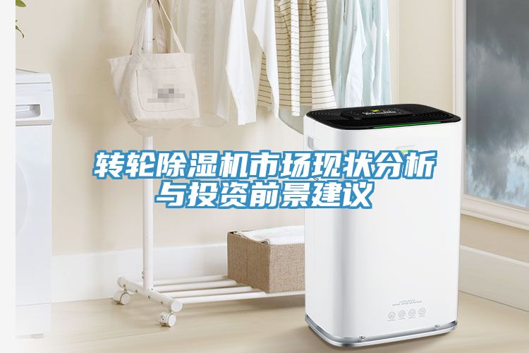 转轮91免费网站在线观看市场现状分析与投资前景建议