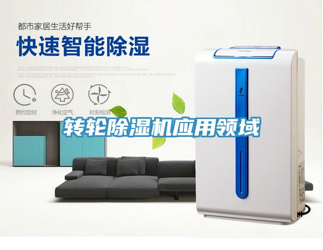转轮91免费网站在线观看应用领域