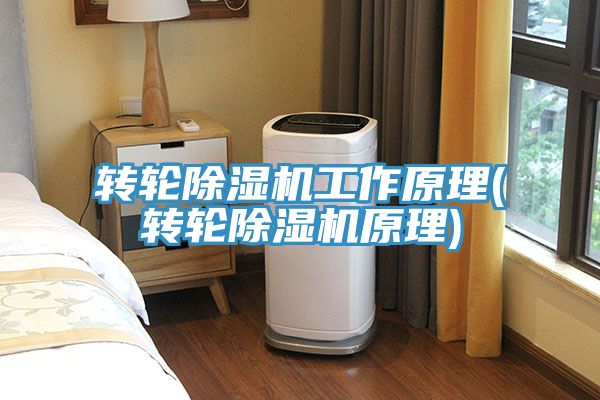 转轮91免费网站在线观看工作原理(转轮91免费网站在线观看原理)