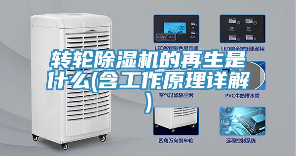 转轮91免费网站在线观看的再生是什么(含工作原理详解)