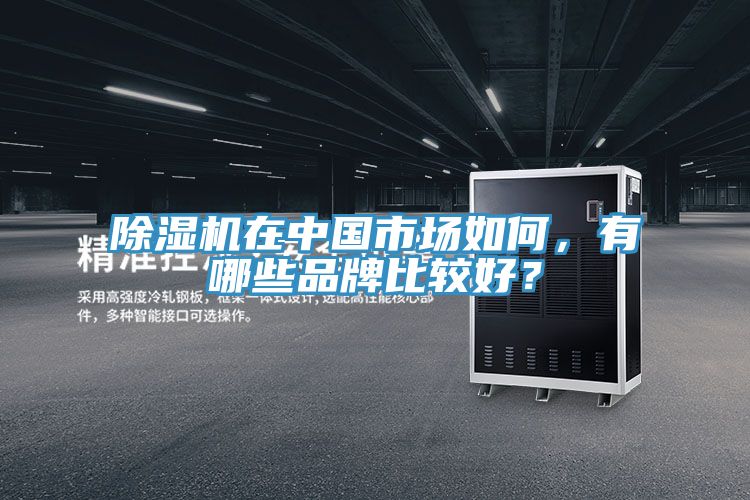 91免费网站在线观看在中国市场如何，有哪些品牌比较好？