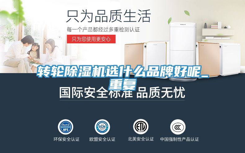 转轮91免费网站在线观看选什么品牌好呢_重复