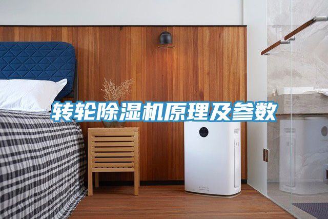 转轮91免费网站在线观看原理及参数