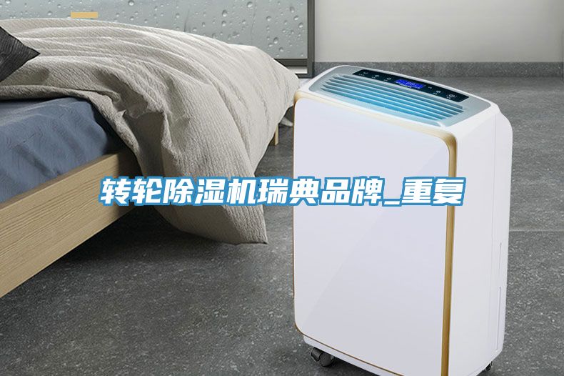 转轮91免费网站在线观看瑞典品牌_重复