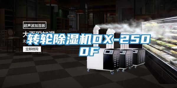 转轮91免费网站在线观看DX-2500F