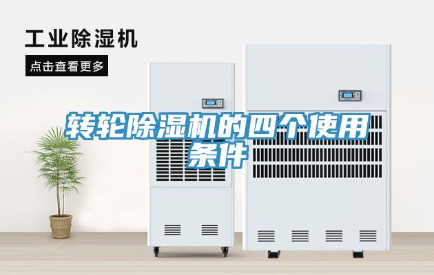 转轮91免费网站在线观看的四个使用条件