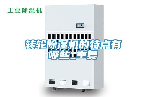 转轮91免费网站在线观看的特点有哪些_重复