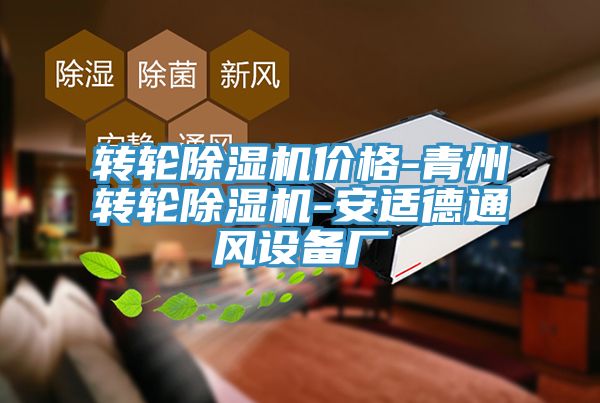 转轮91免费网站在线观看价格-青州转轮91免费网站在线观看-安适德通风设备厂