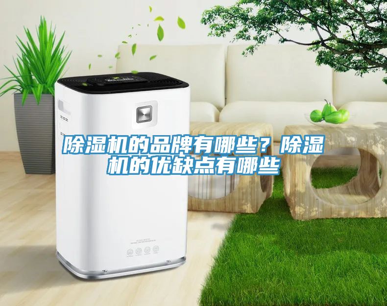 91免费网站在线观看的品牌有哪些？91免费网站在线观看的优缺点有哪些
