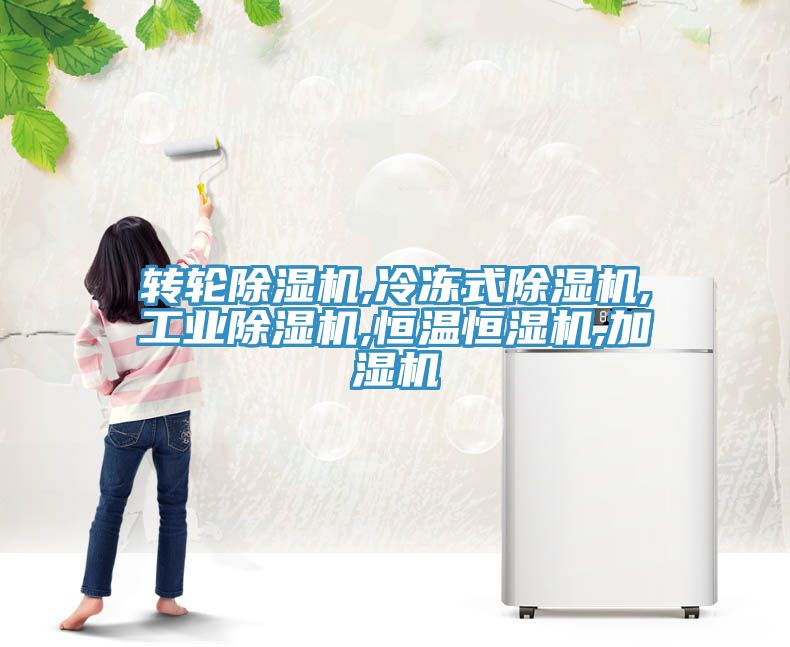 转轮91免费网站在线观看,冷冻式91免费网站在线观看,工业91免费网站在线观看,恒温恒湿机,加湿机