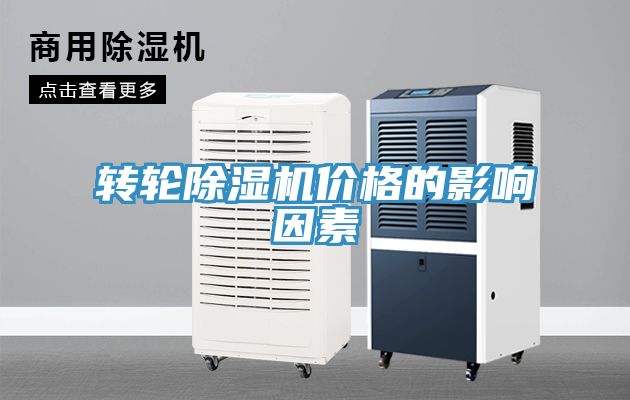 转轮91免费网站在线观看价格的影响因素