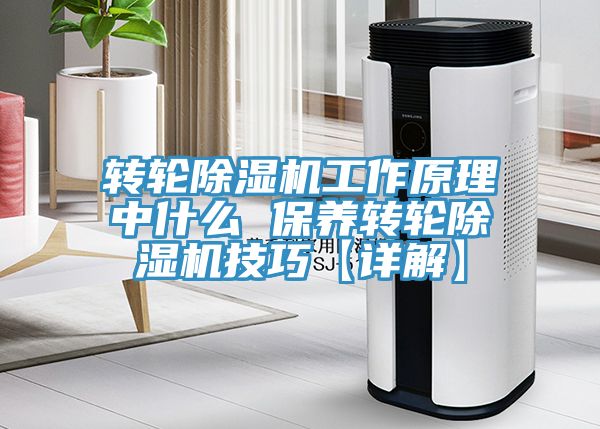 转轮91免费网站在线观看工作原理中什么 保养转轮91免费网站在线观看技巧【详解】