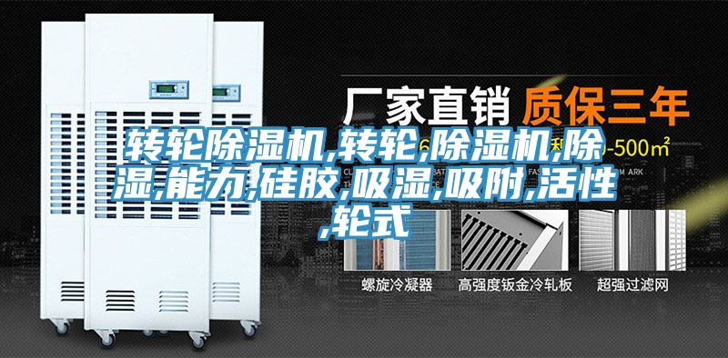 转轮91免费网站在线观看,转轮,91免费网站在线观看,除湿,能力,硅胶,吸湿,吸附,活性,轮式