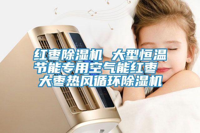 红枣91免费网站在线观看 大型恒温节能专用空气能红枣 大枣热风循环91免费网站在线观看
