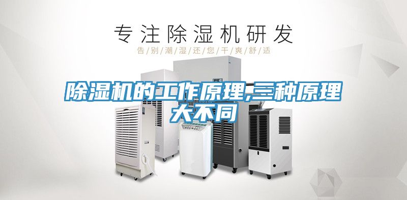 91免费网站在线观看的工作原理,三种原理大不同