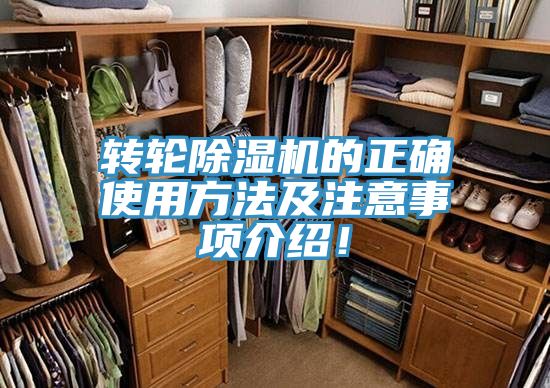 转轮91免费网站在线观看的正确使用方法及注意事项介绍！