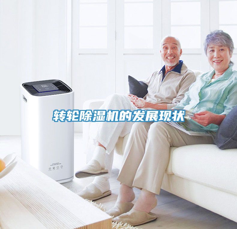 转轮91免费网站在线观看的发展现状