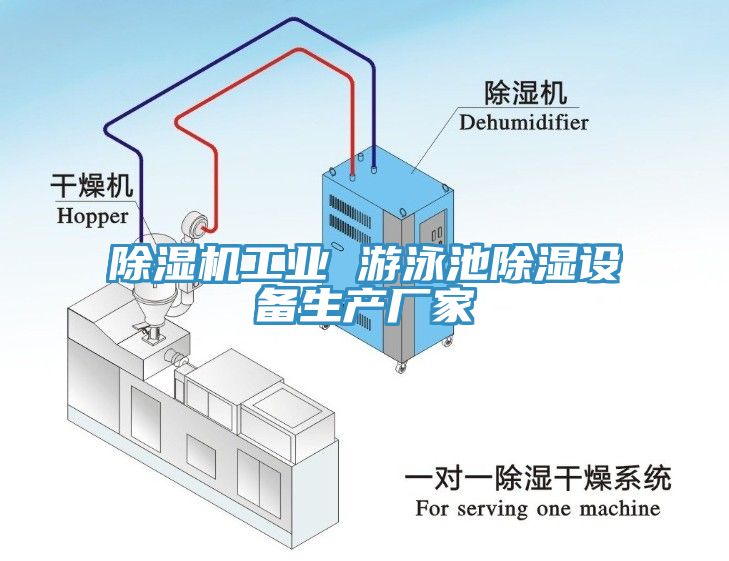 91免费网站在线观看工业 游泳池除湿设备生产厂家