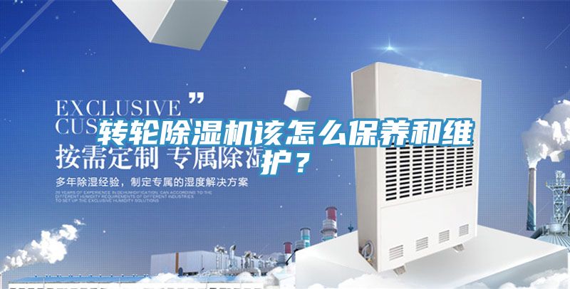转轮91免费网站在线观看该怎么保养和维护？