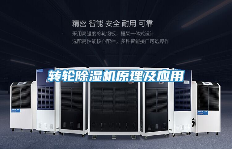 转轮91免费网站在线观看原理及应用