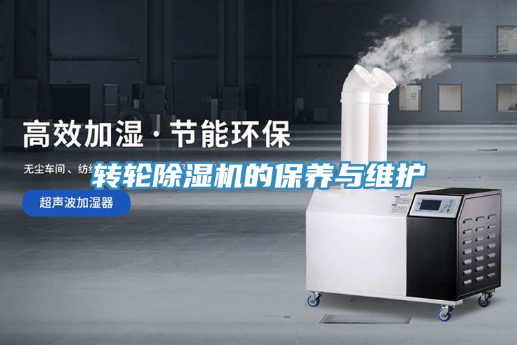 转轮91免费网站在线观看的保养与维护