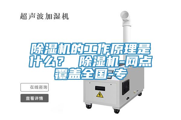 91免费网站在线观看的工作原理是什么？ 91免费网站在线观看-网点覆盖全国-专