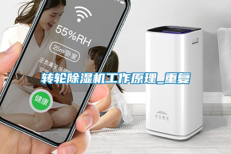 转轮91免费网站在线观看工作原理_重复