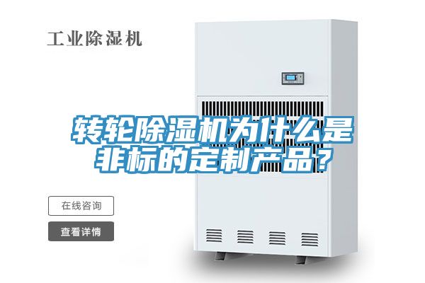 转轮91免费网站在线观看为什么是非标的定制产品？