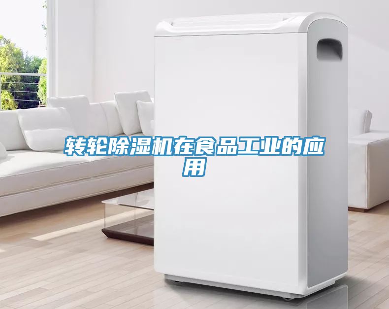 转轮91免费网站在线观看在食品工业的应用
