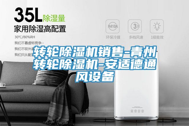 转轮91免费网站在线观看销售-青州转轮91免费网站在线观看-安适德通风设备