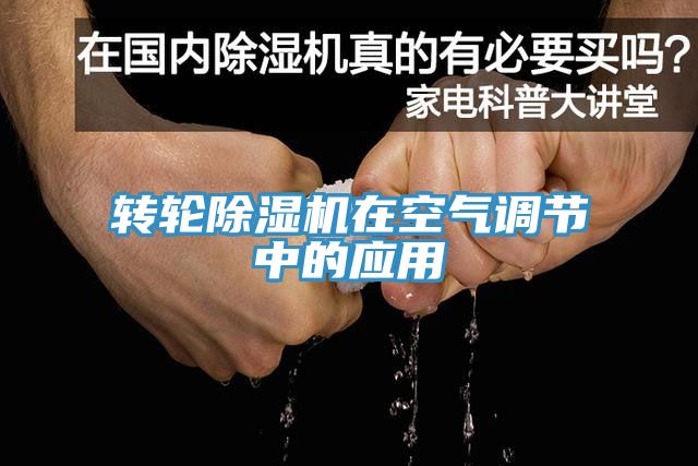转轮91免费网站在线观看在空气调节中的应用