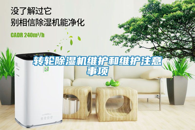 转轮91免费网站在线观看维护和维护注意事项