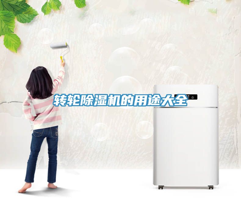 转轮91免费网站在线观看的用途大全