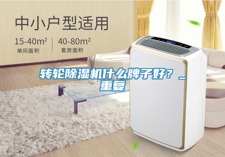 转轮91免费网站在线观看什么牌子好？_重复