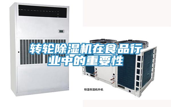 转轮91免费网站在线观看在食品行业中的重要性