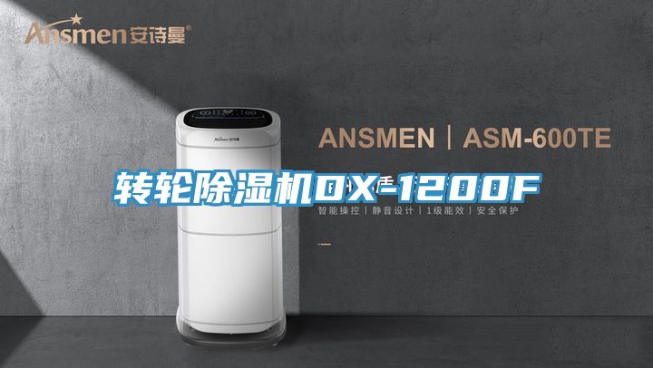 转轮91免费网站在线观看DX-1200F